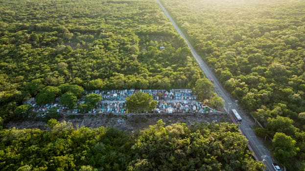 Captivating aerial view of dense forest landscape with a road running through Yucatán, Mexico.