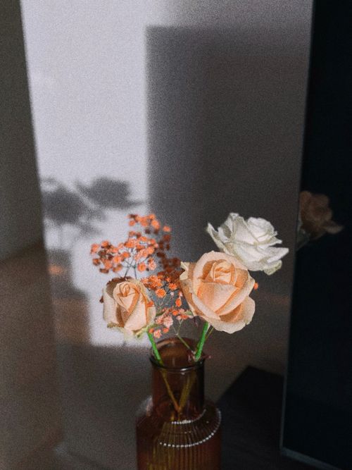 Free Aesthetic floral arrangement with roses and baby's breath in a vintage vase casting shadows. Stock Photo