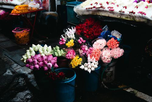 Free A vibrant display of tropical flowers at an outdoor market flower stall. Stock Photo