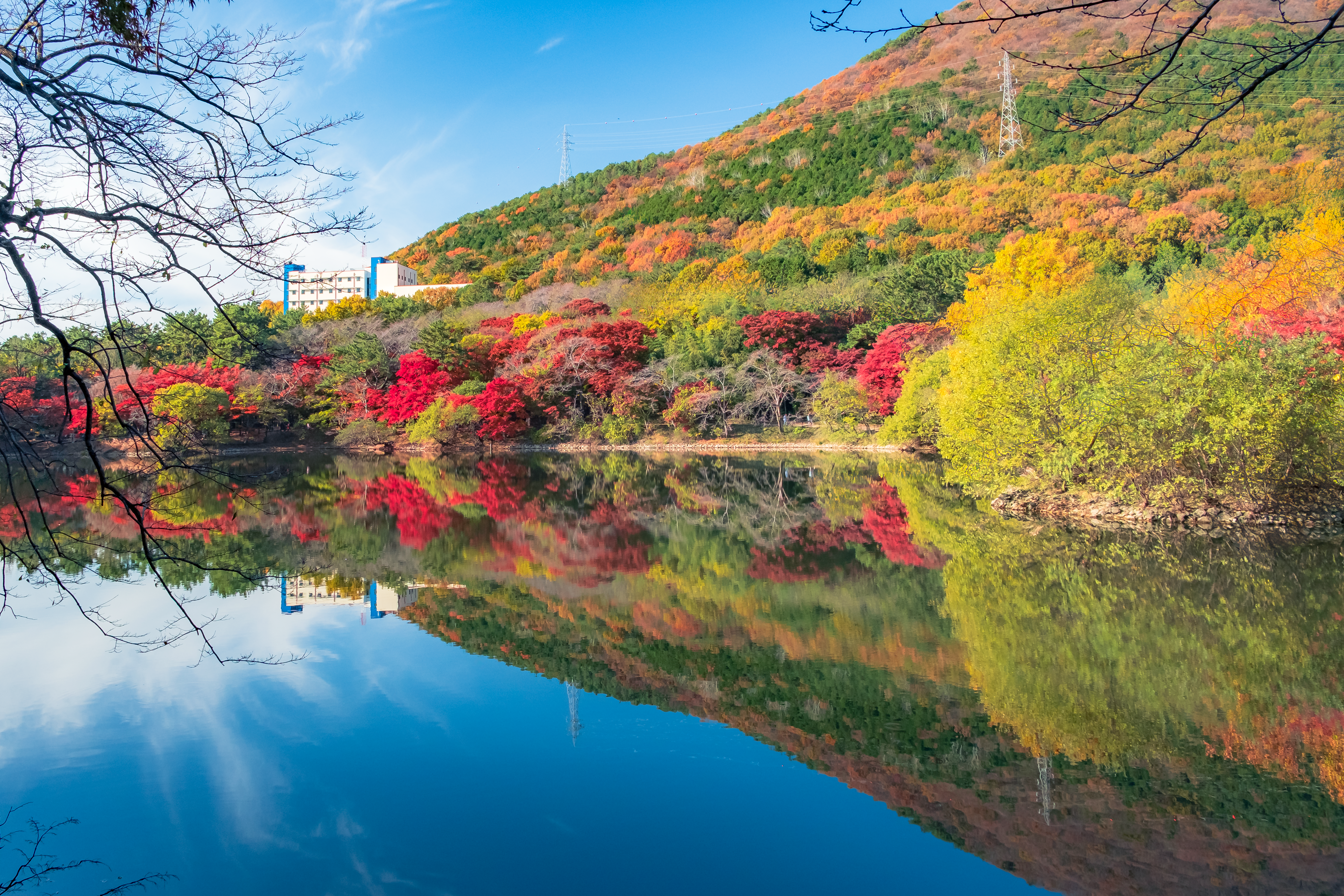 Stunning autumn colors mirrored in a calm lake under a clear sky.