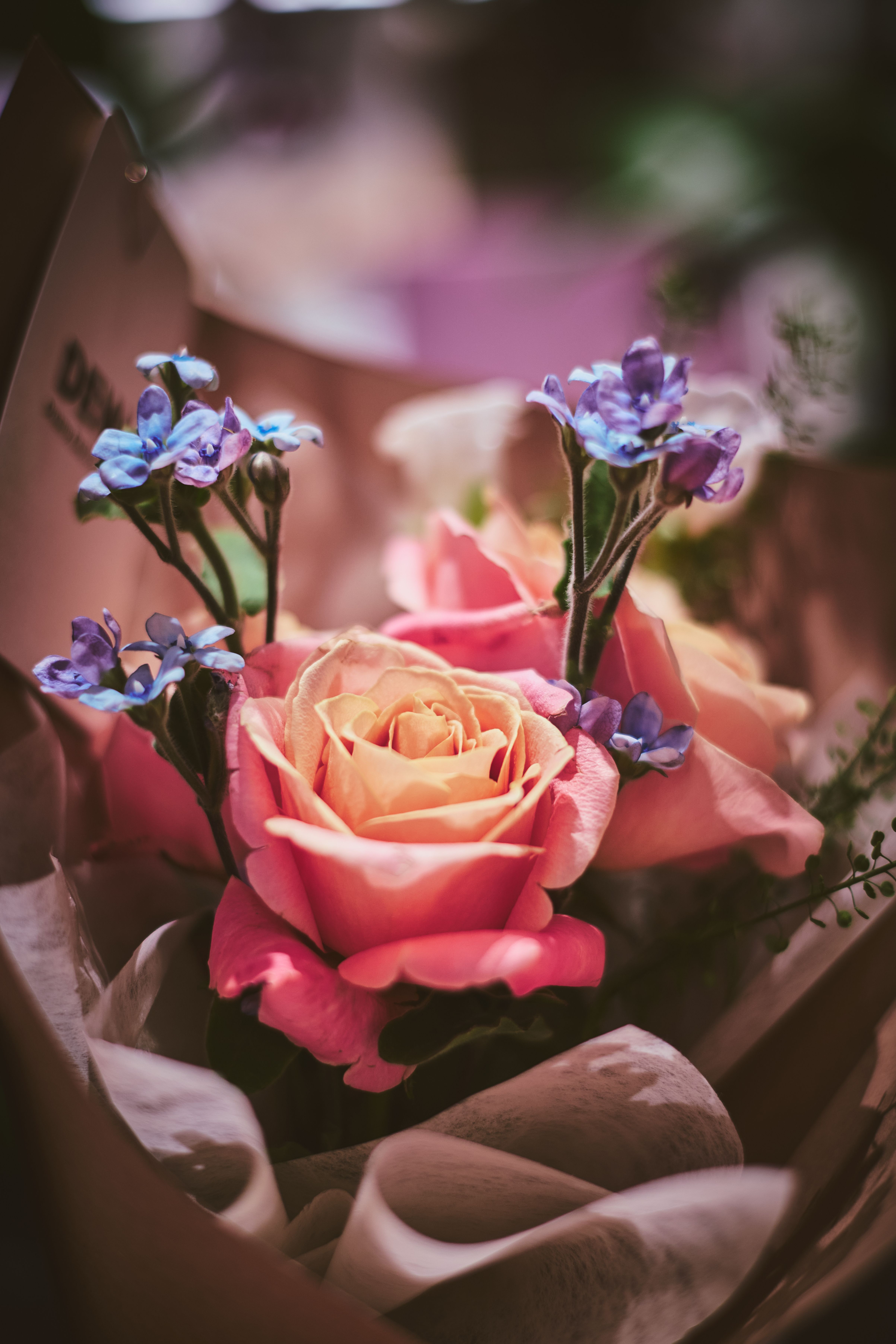 [ColoSach]-a-beautiful-bouquet-featuring-pink-roses-and-blue-forget-me-nots,-perfect-for-any-occasion.