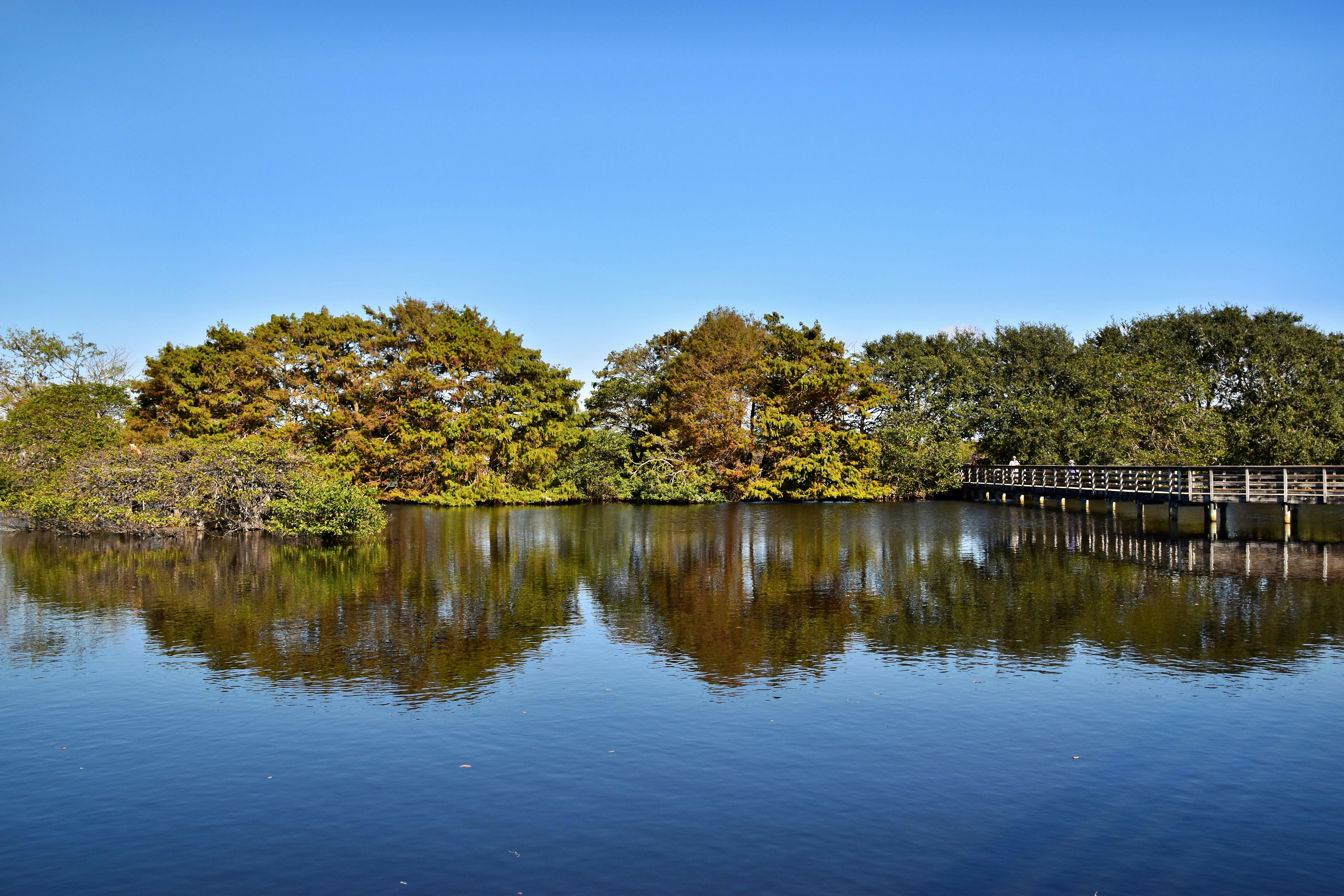 Hempstead State Lake Park: Discover Hidden Gems and Adventure Trails 2 How to Navigate the Best Adventure Trails in Hempstead State Lake Park Like a Pro