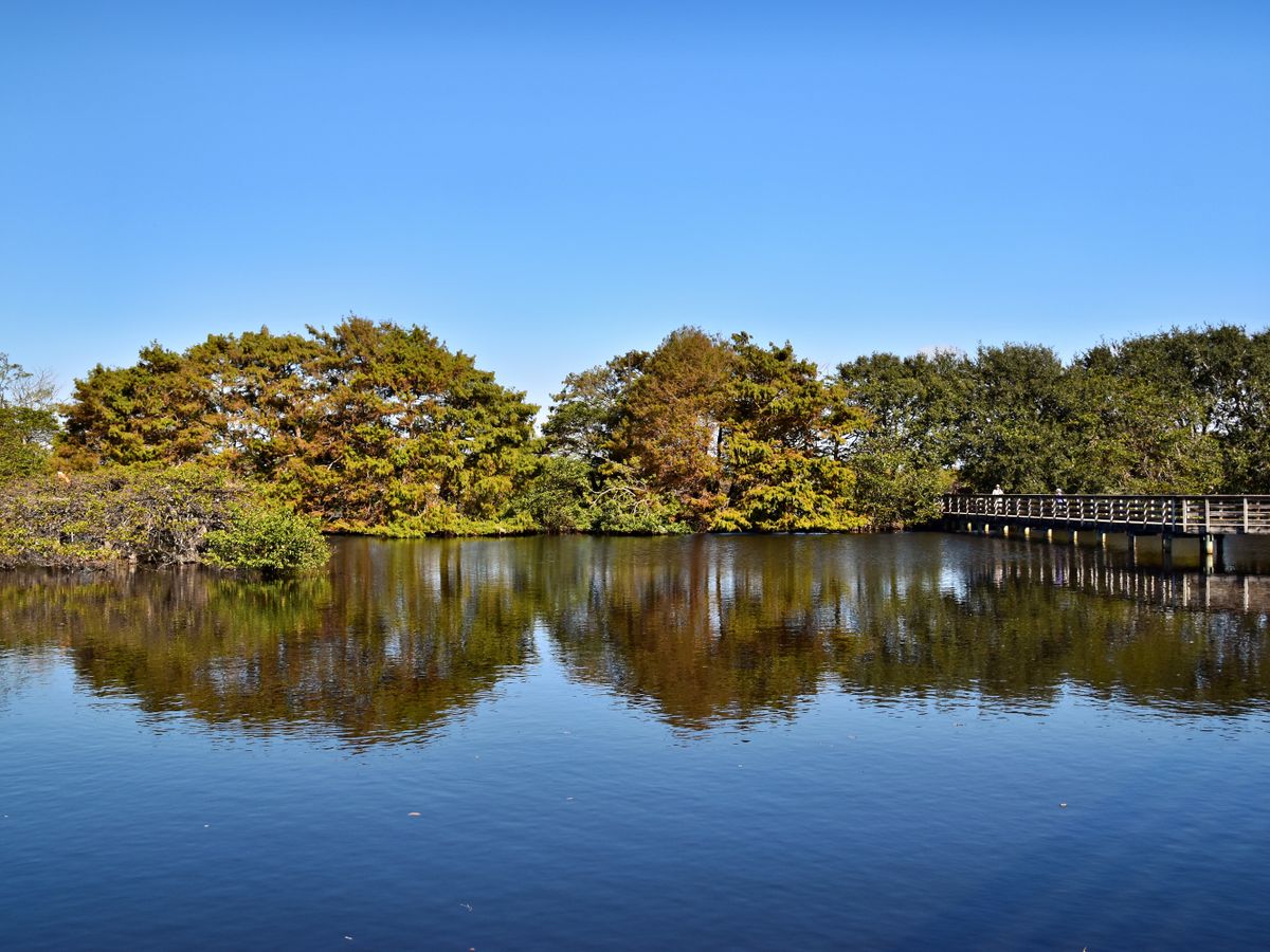 4 Day Yin & Restorative Yoga, Meditation in Sunny Florida 2