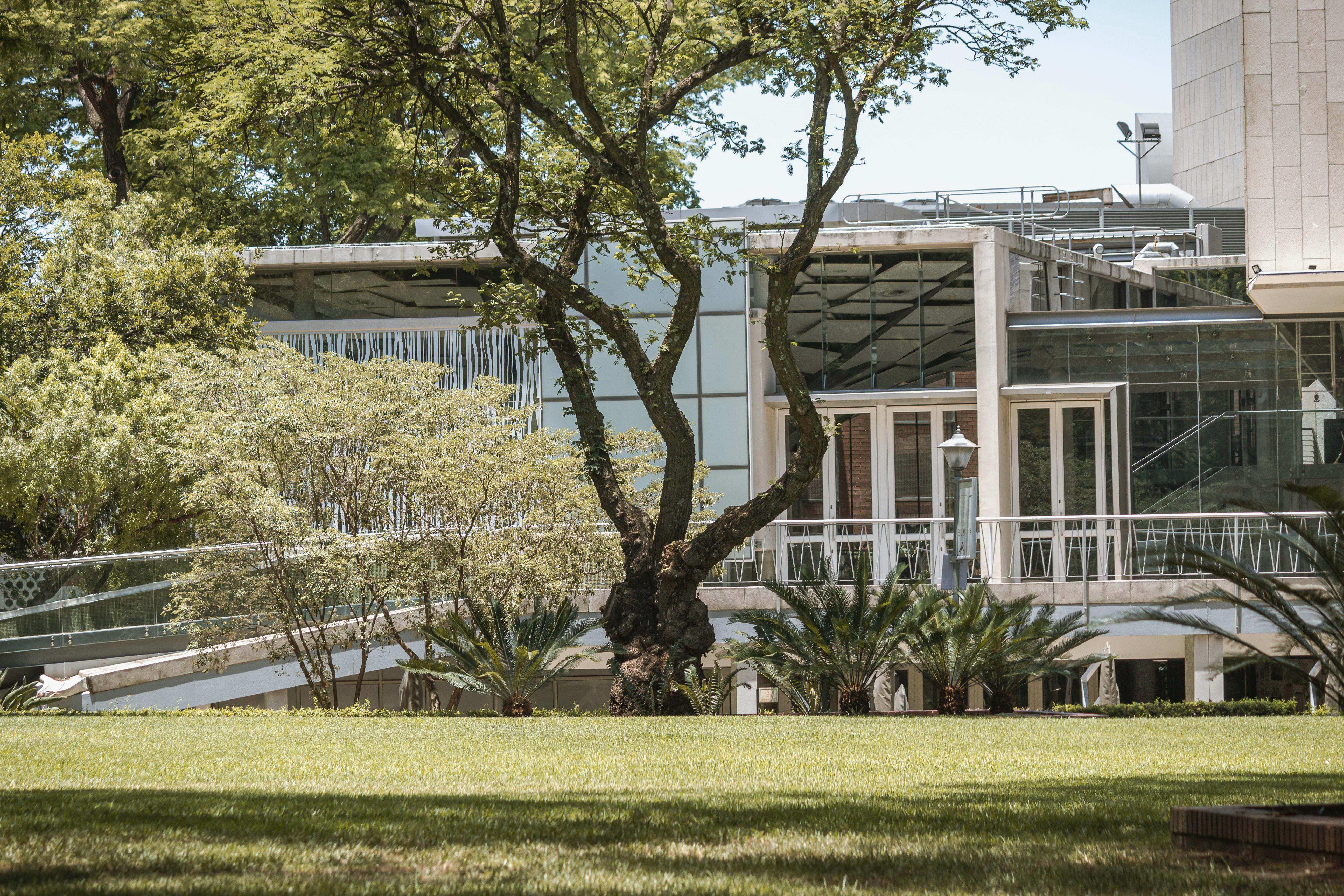 general education courses unsw — Photo by Bruce Taylor on Pexels