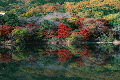 Free Vibrant autumn foliage with red, yellow, and green hues reflecting in a tranquil lake. Stock Photo