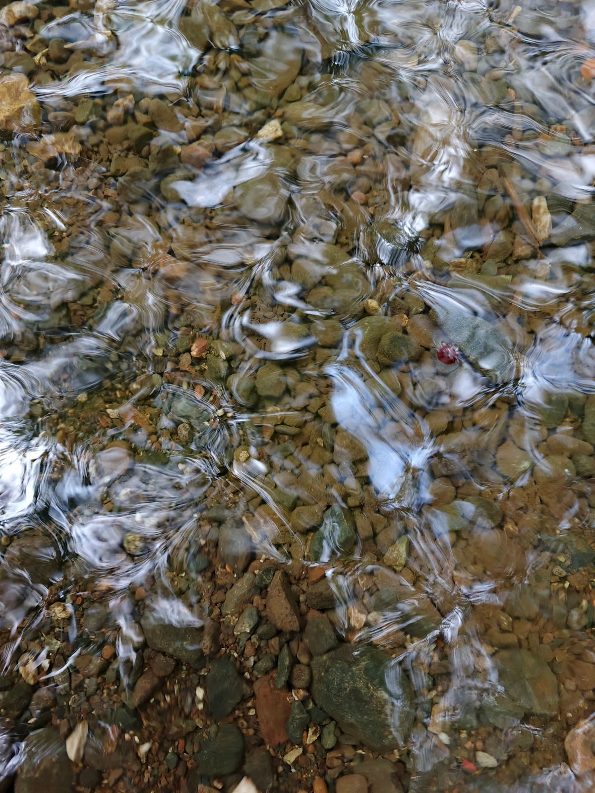 Acqua che scorre limpida sui sassi