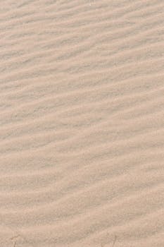沙漠中阳光下荡漾的沙子图案特写