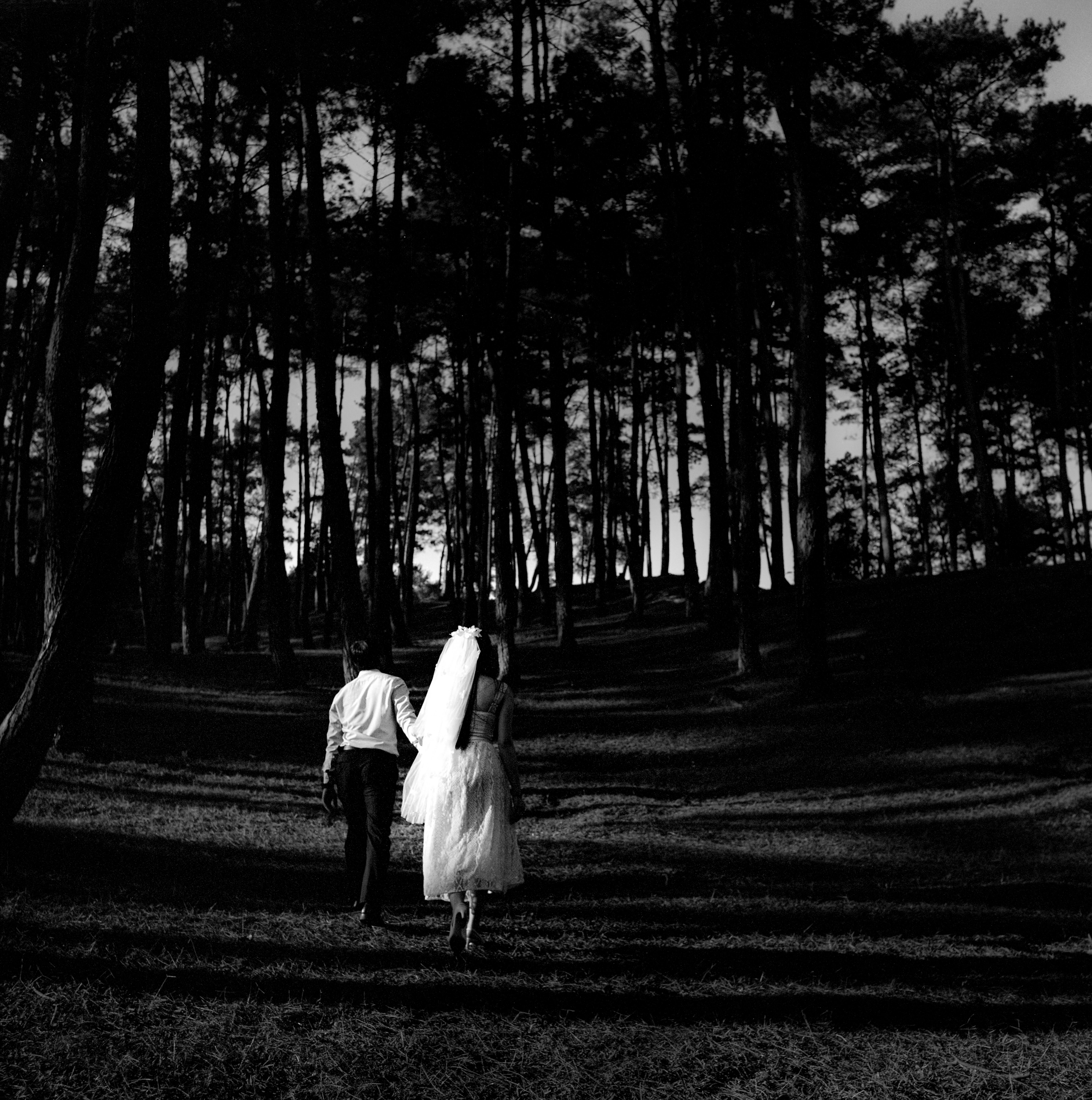 Black and White Wedding Couple in Forest · Free Stock Photo