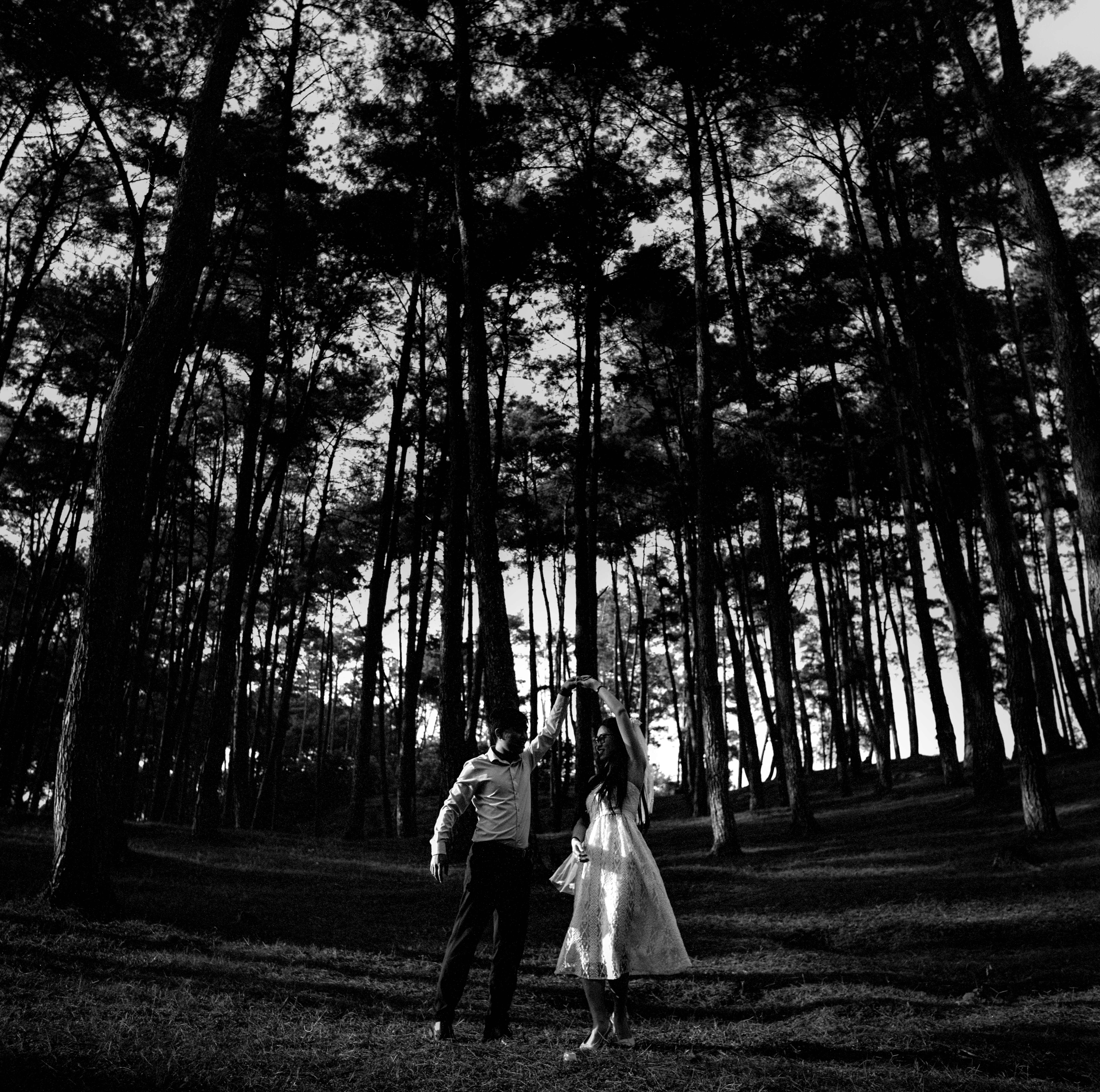 A couple dancing romantically in a serene pine forest in Hà Giang.