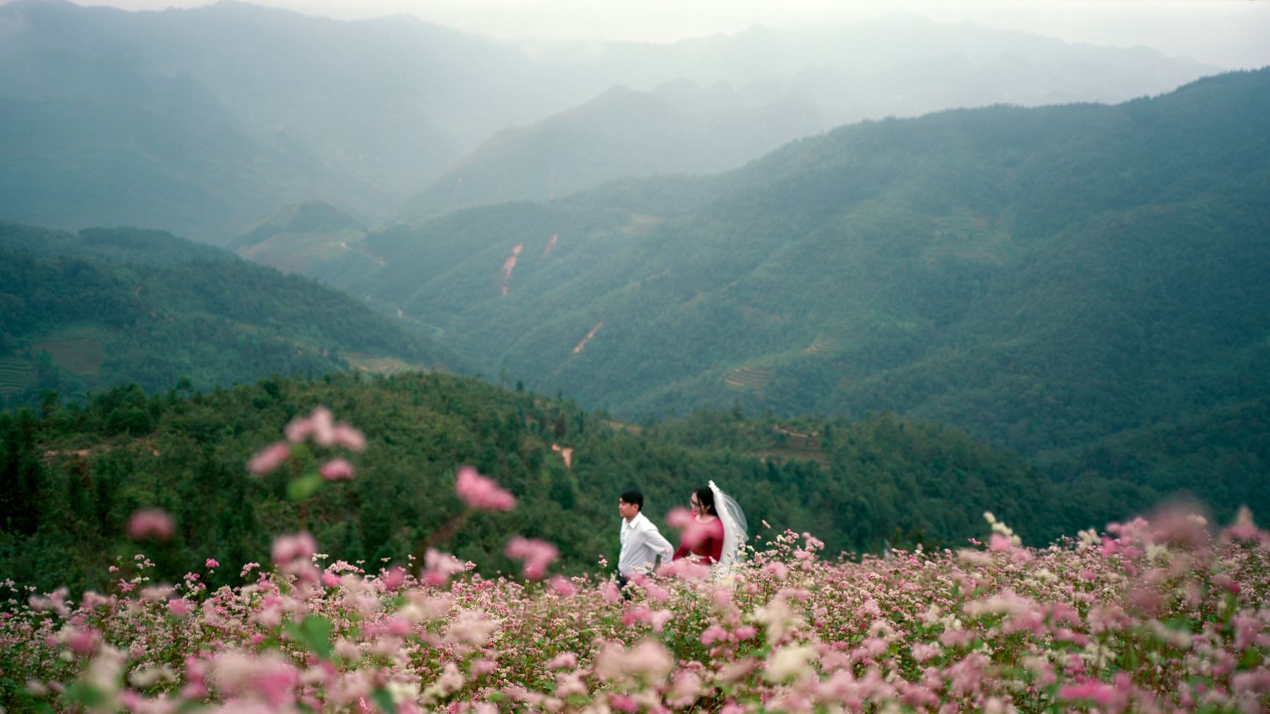 A couple walks through vast flower fields in Hà Giang, Vietnam, surrounded by breathtaking mountain views.
