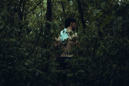Free A shirtless man stands mysteriously in a lush forest creating a moody and enigmatic atmosphere. Stock Photo