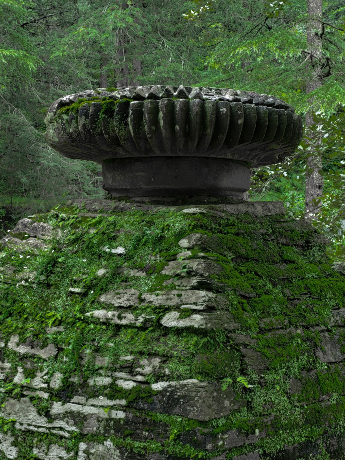 Jageshwar Dham — Uttarakhand travel photograph 2