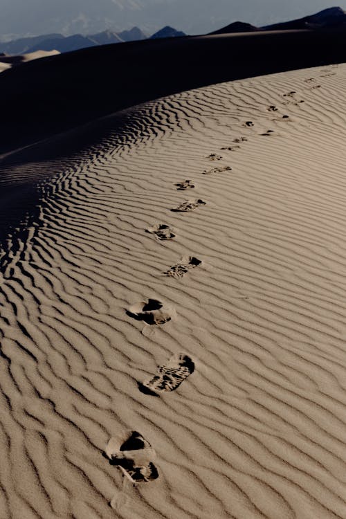 갈색 모래에 발자국