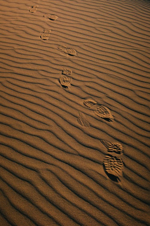 Kostnadsfri bild av fotspår, öken, sand