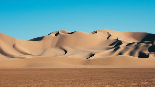 Foto Der Wüste Während Des Tages