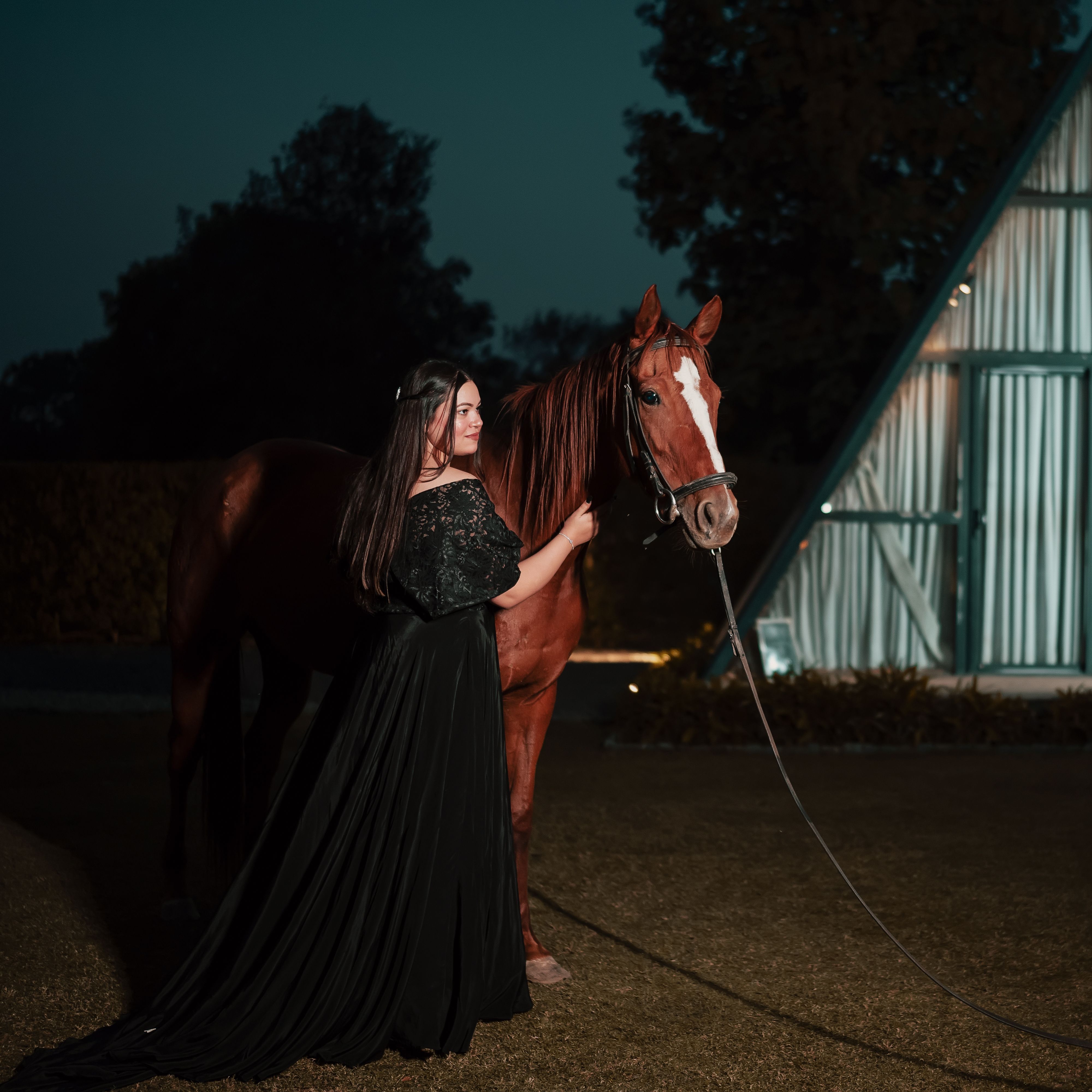 A woman in a dark dress posing elegantly with a horse at night outdoors.