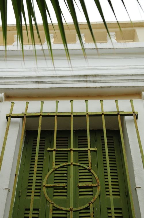 Free Close-up of green shutters behind iron grille with palm leaves overhead. Stock Photo