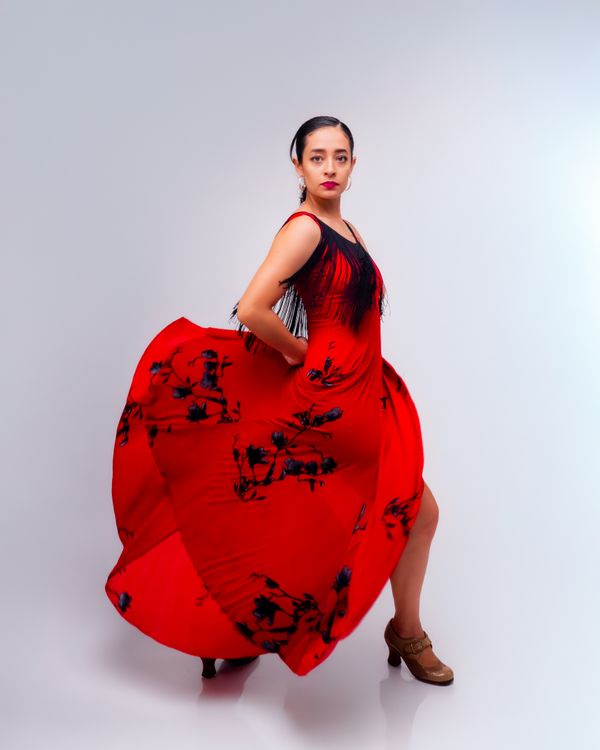 formal dresses with sheer sleeves Luxury Elegant Evening Gown Dress with Long Sheer Sleeves  FineLook