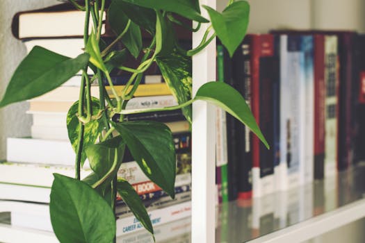 Close-up of a bookshelf with books and a climbing plant, ideal for home and office interiors.
