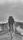 creixement