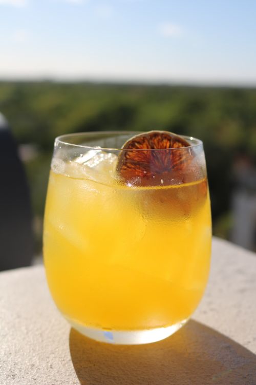 Free Vibrant citrus cocktail with slice, ideal for a summer refreshment. Stock Photo