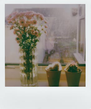 窗台上阳光明媚，放着一瓶鲜花和盆栽仙人掌，旁边是迷人的复古风格宝丽来