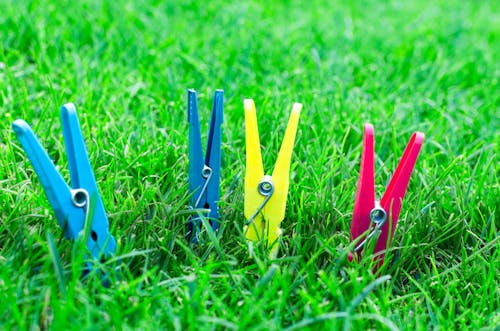 Two Blue One Yellow and One Pink Clothes Clips on Green Grass