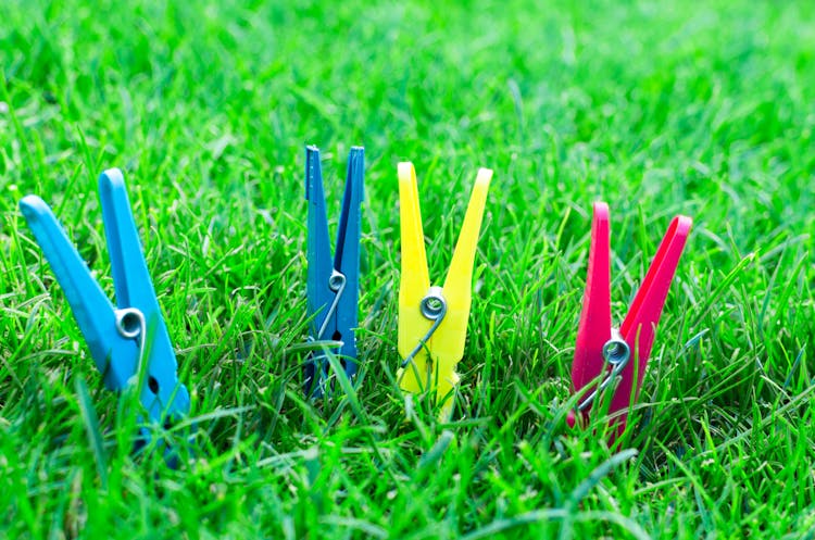 Two Blue One Yellow And One Pink Clothes Clips On Green Grass