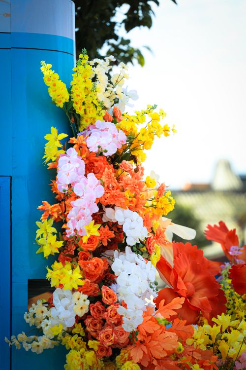Free Colorful flowers blooming outdoors in a vibrant arrangement, showcasing a mix of shades and textures. Stock Photo