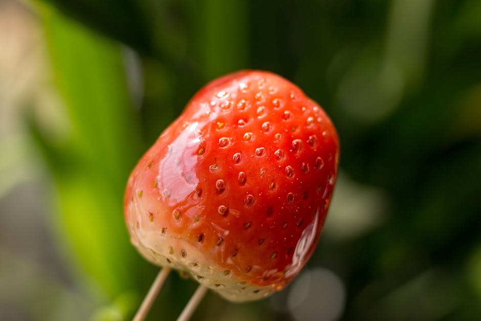 Delicious Vegan Food at Affordable Prices