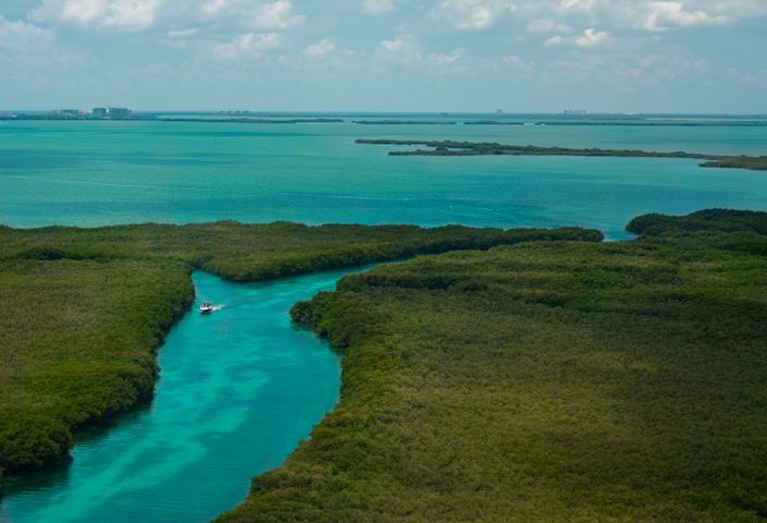 Explore the vibrant green mangroves and azure waters of Cancún from above, capturing natural beauty and tranquility.