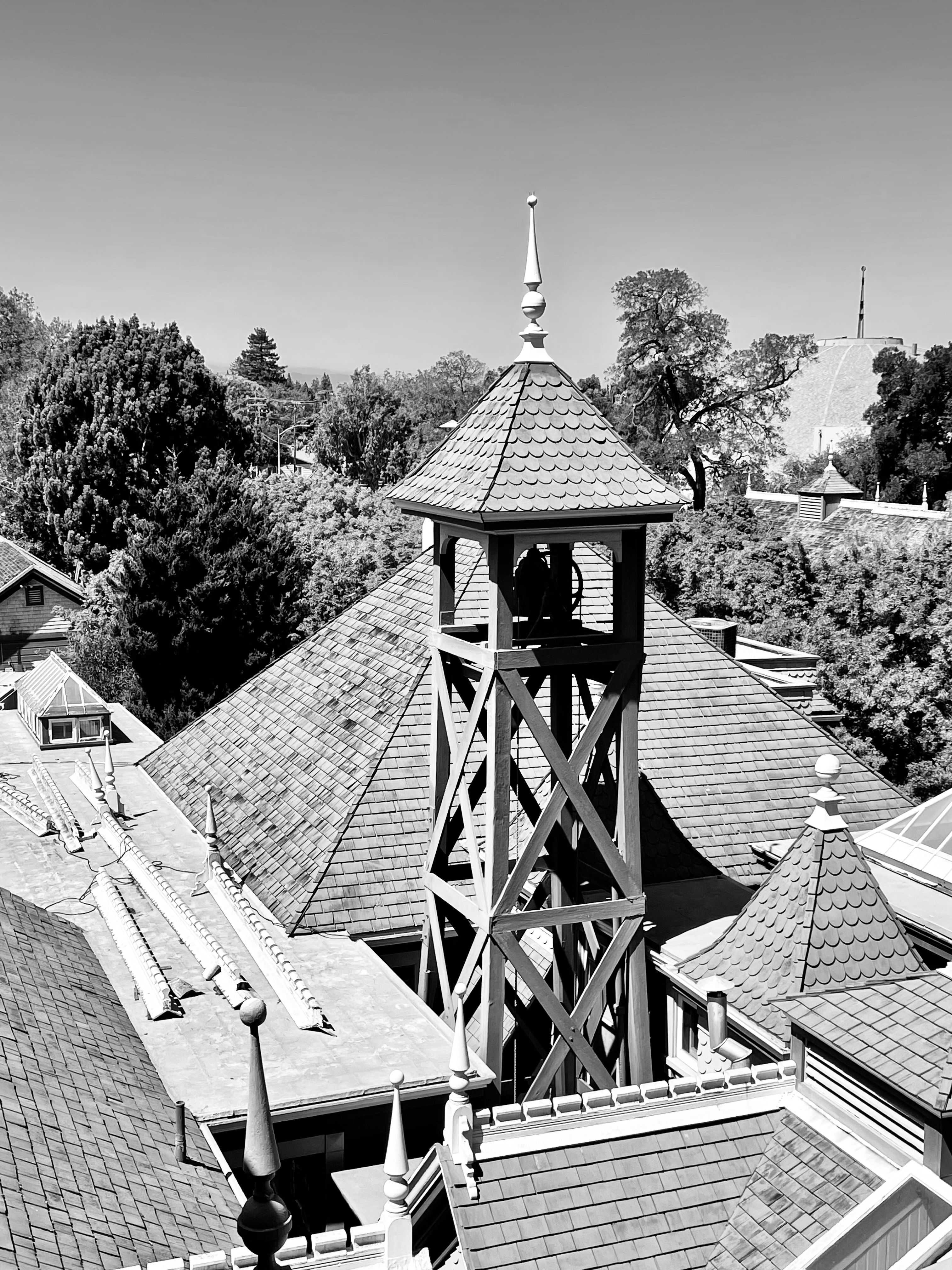 Black and White Rooftop View with Bell Tower · Free Stock Photo
