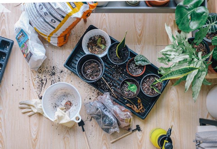 An Gardening Themed Flatlay