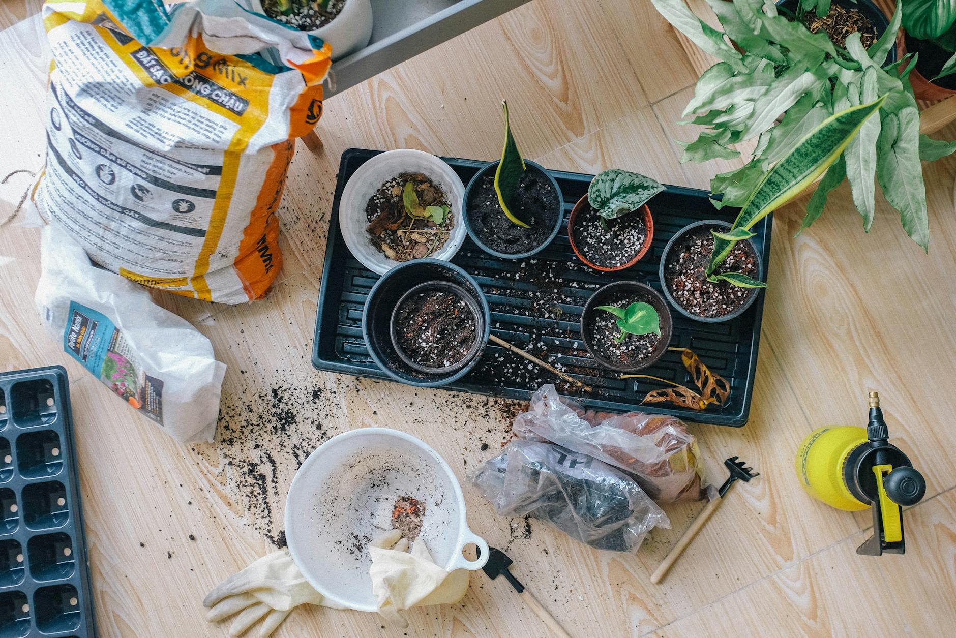 Indoor vegetable garden system 