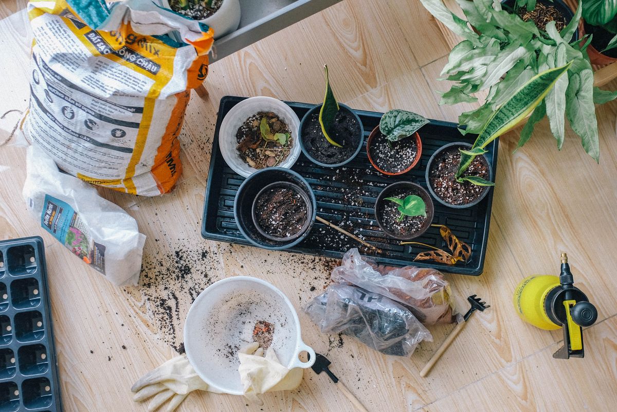 Mesa com saco de substrato, vasos pequenos com terra, mudas, borrifador e ferramentas de jardinagem