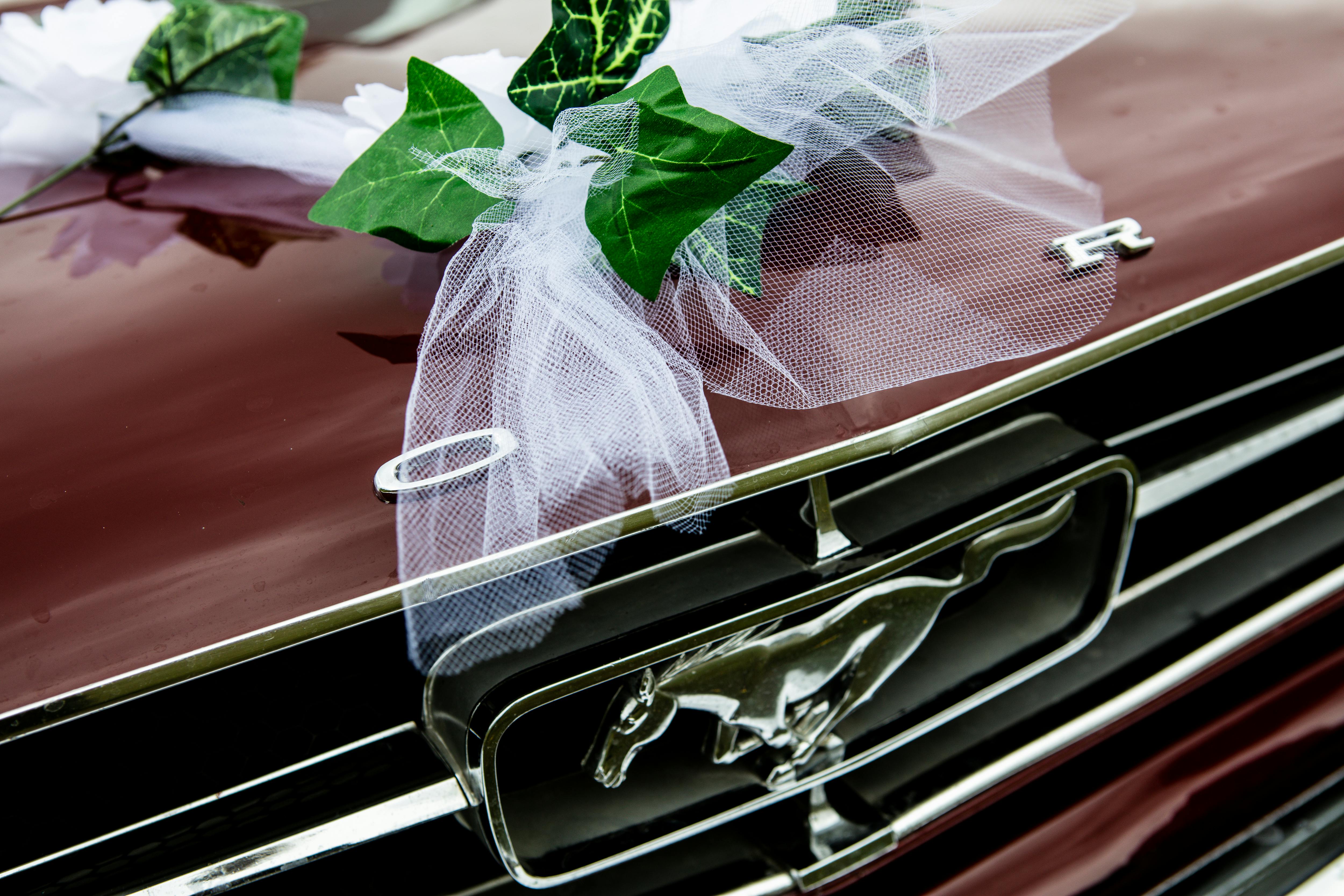 Close-Up Photo Of Ford Mustang Emblem · Free Stock Photo