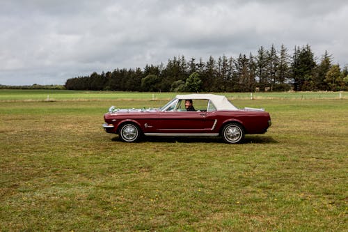 Personne à L'intérieur De La Voiture Rouge