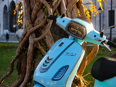 A vibrant blue scooter rests beside a twisted tree in a picturesque outdoor setting.