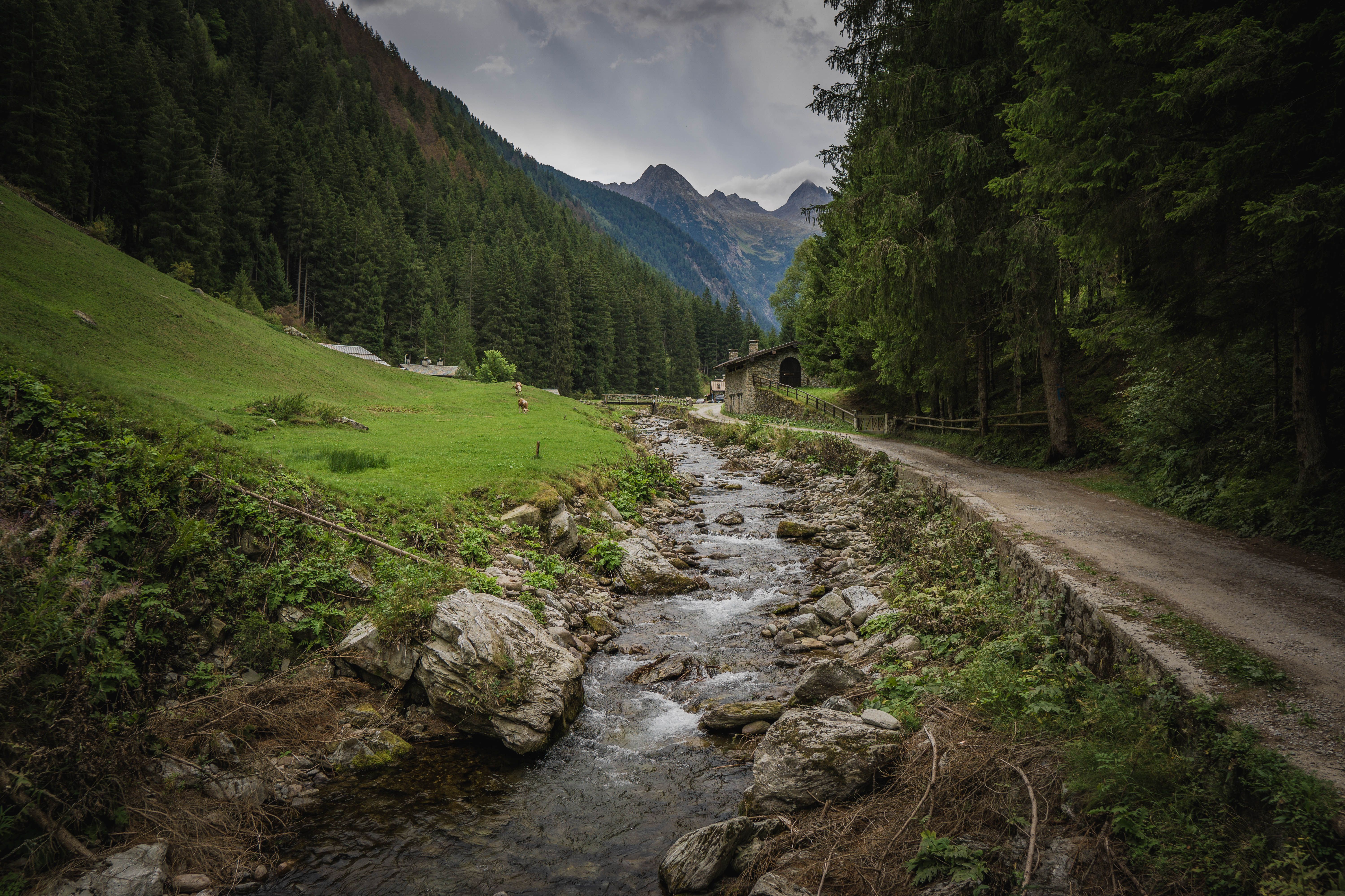 Scenic Mountain Stream in Tranquil Valley · Free Stock Photo