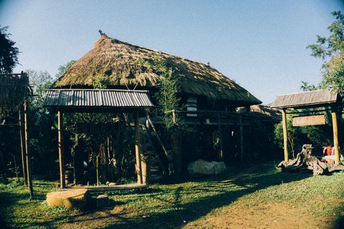 Free Traditional thatch roof house surrounded by trees in a countryside setting under clear skies. Stock Photo
