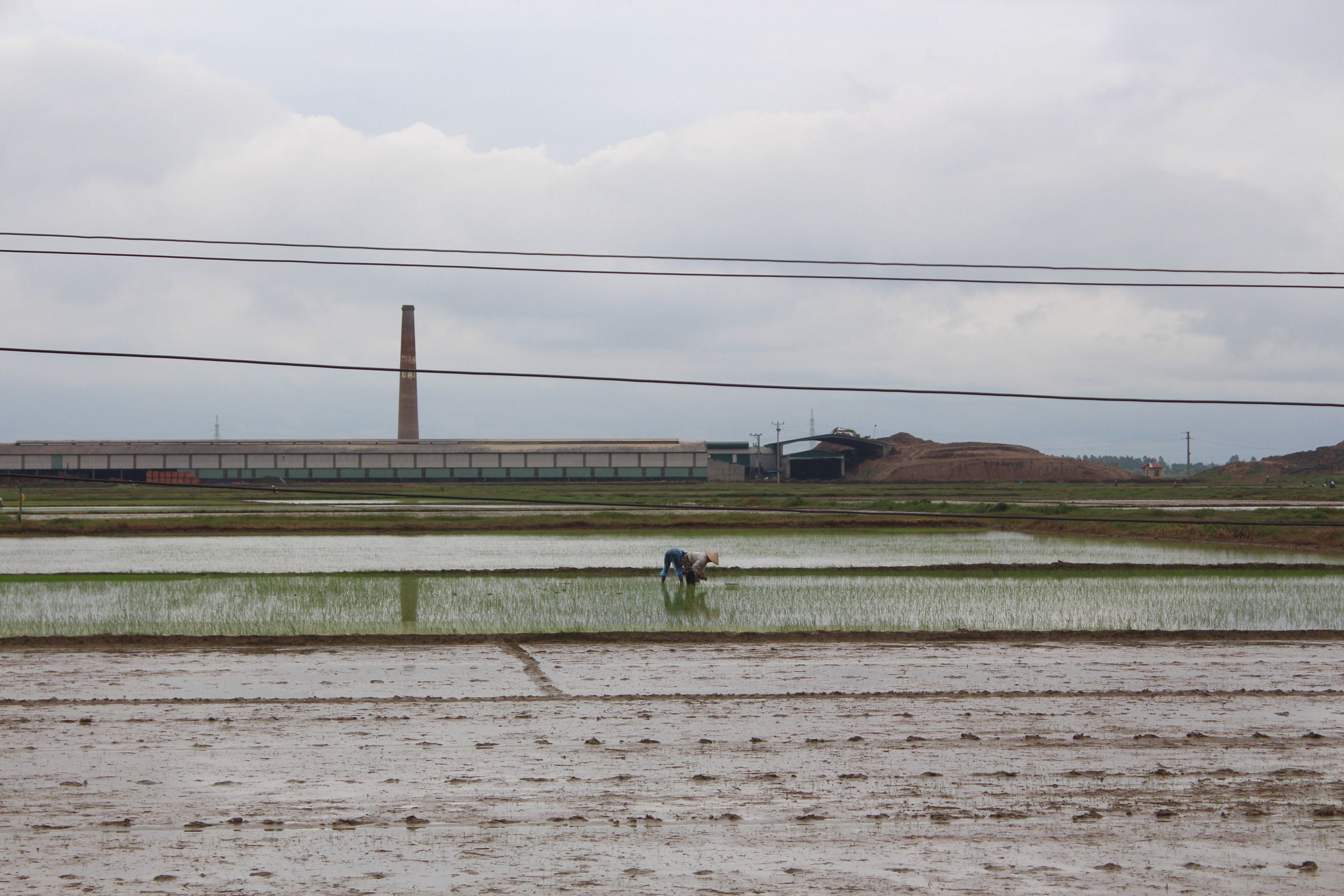 Agricultural fields and light industrial facilities in rural Uganda, representing agro-industrial activity.