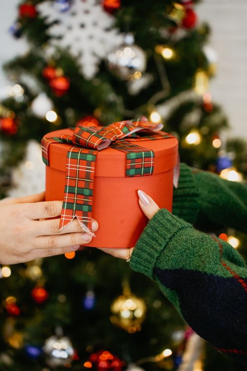Free Hands exchanging a Christmas gift with red and plaid ribbon in front of a decorated tree. Stock Photo