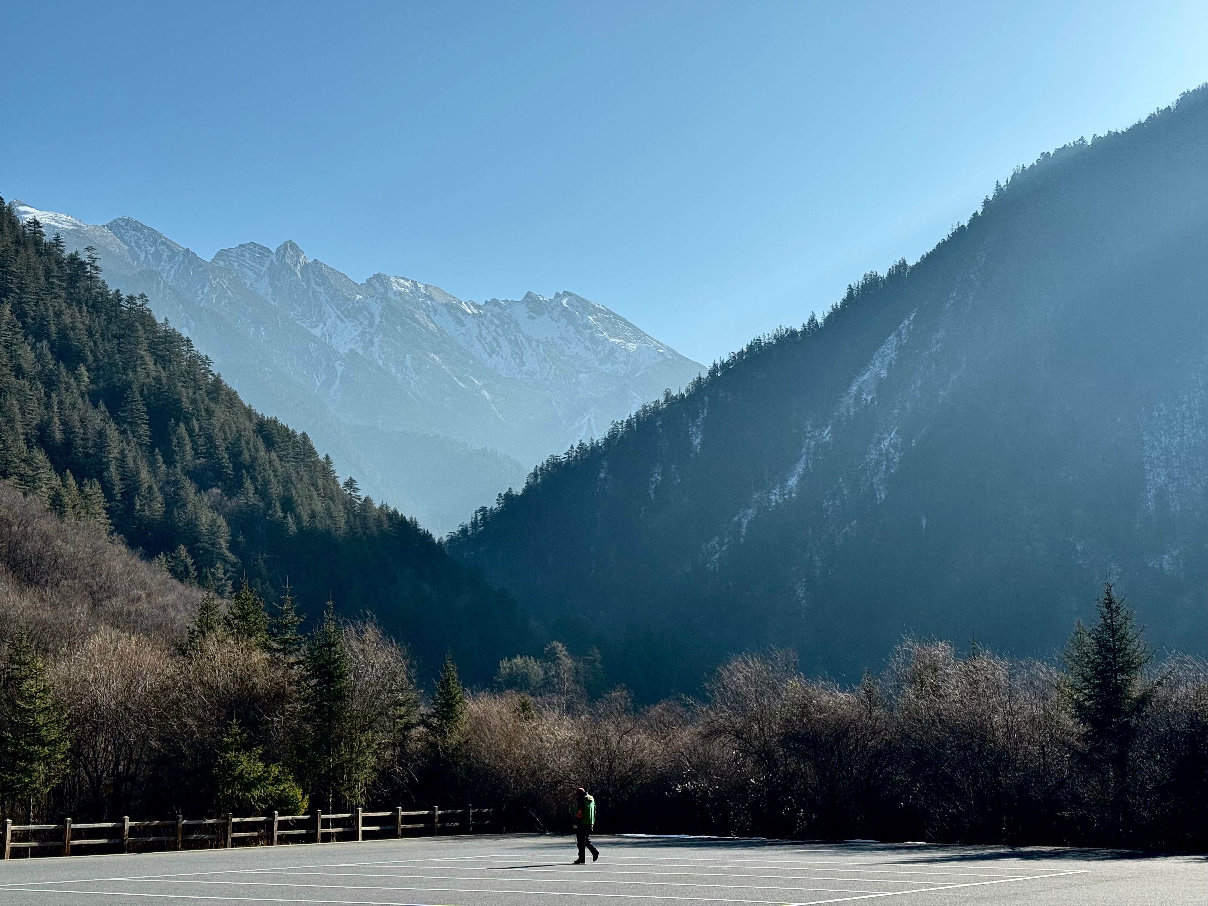 Lonely Person in Mountainous Landscape with Forest · Free Stock Photo