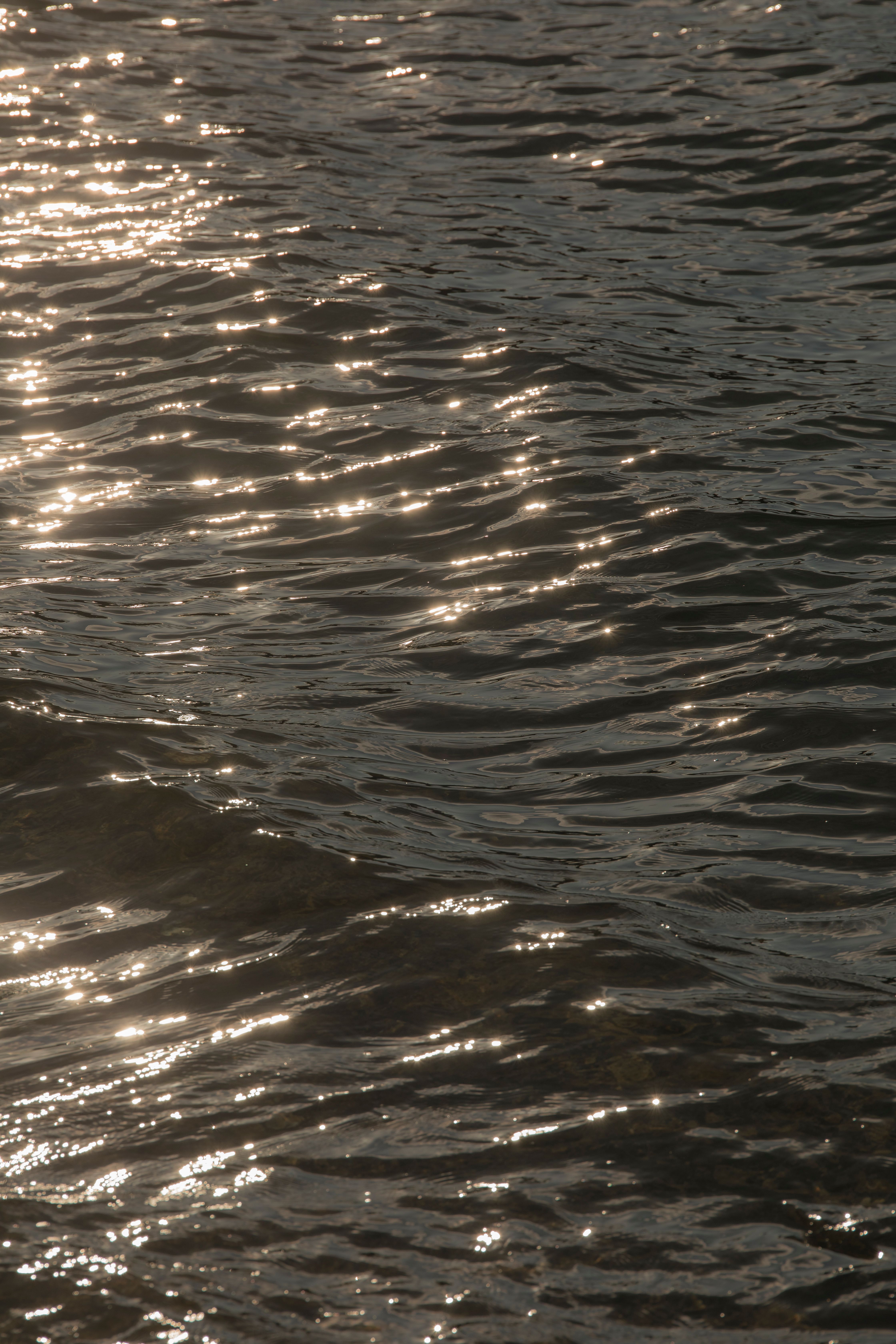 Sunlit Ripples on Calm Water Surface · Free Stock Photo