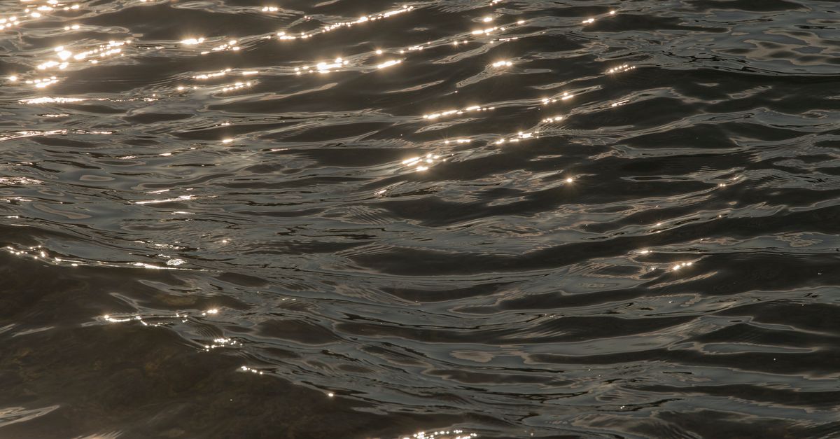 Sunlit Ripples Sunlit Ripples on Calm Water Surface · Free Stock Photo