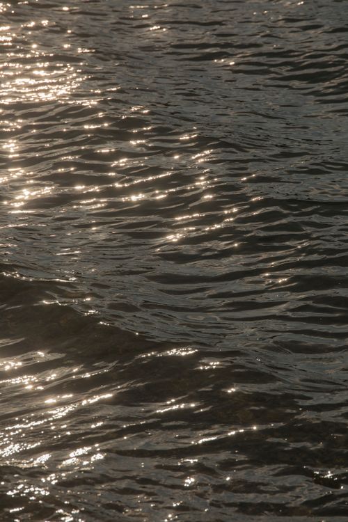 Free Beautiful sunlight reflections on a tranquil water surface creating a serene atmosphere. Stock Photo