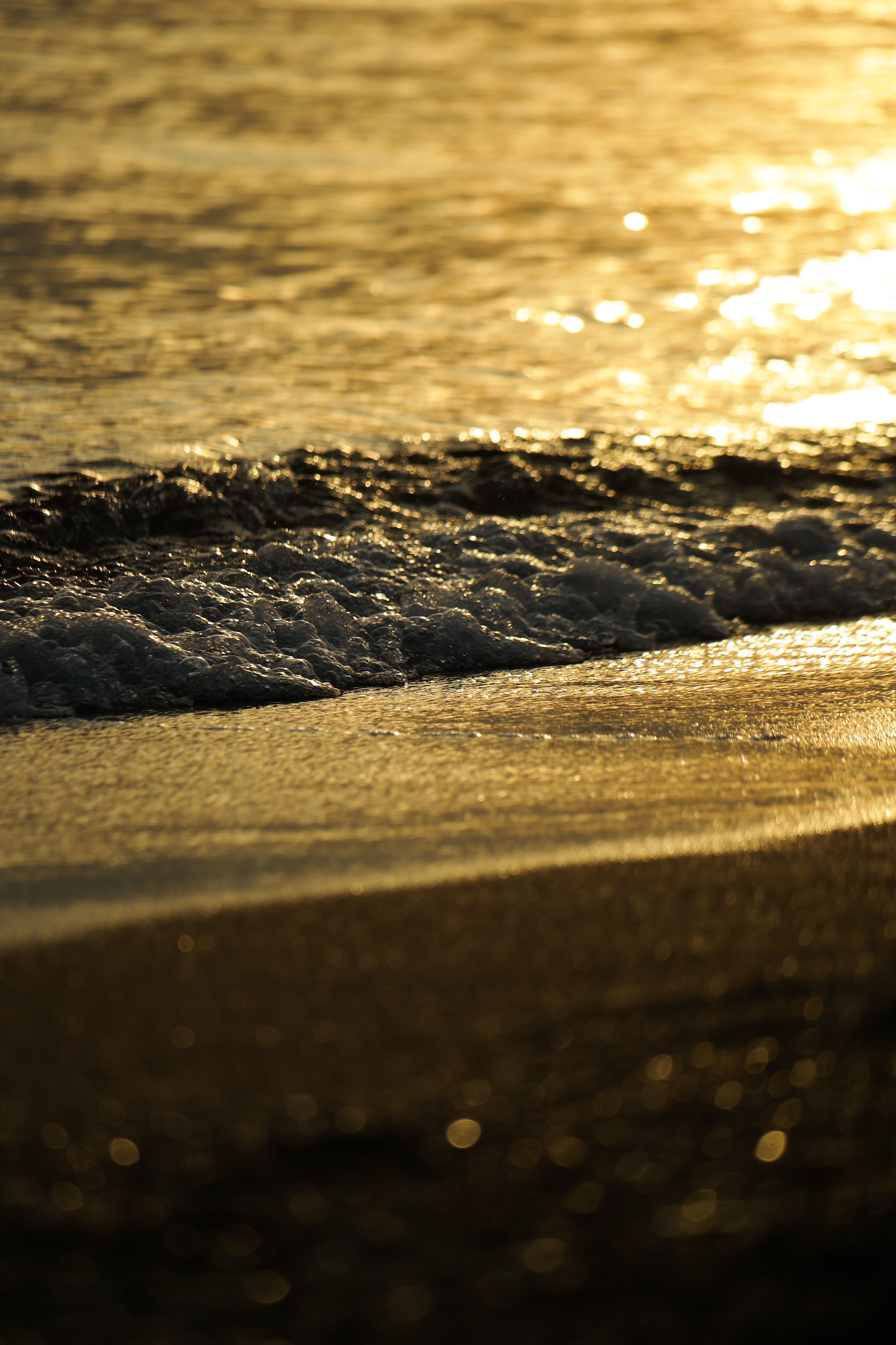 Golden Sunset Waves on Sandy Beach · Free Stock Photo