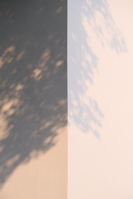 Subtle tree shadows cast on a minimalist two-tone wall.