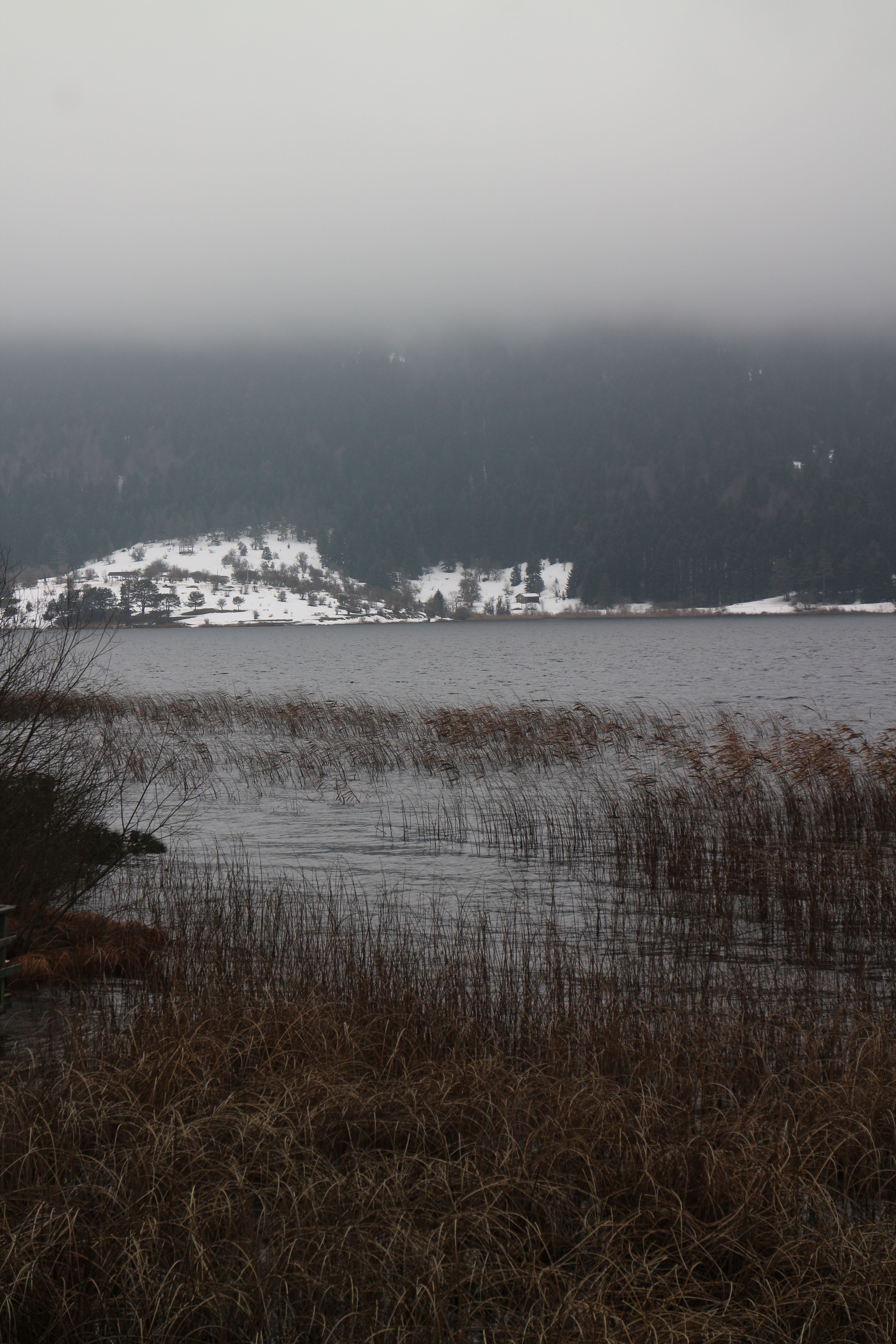 Serene winter landscape with a foggy lake and snow-covered mountains.