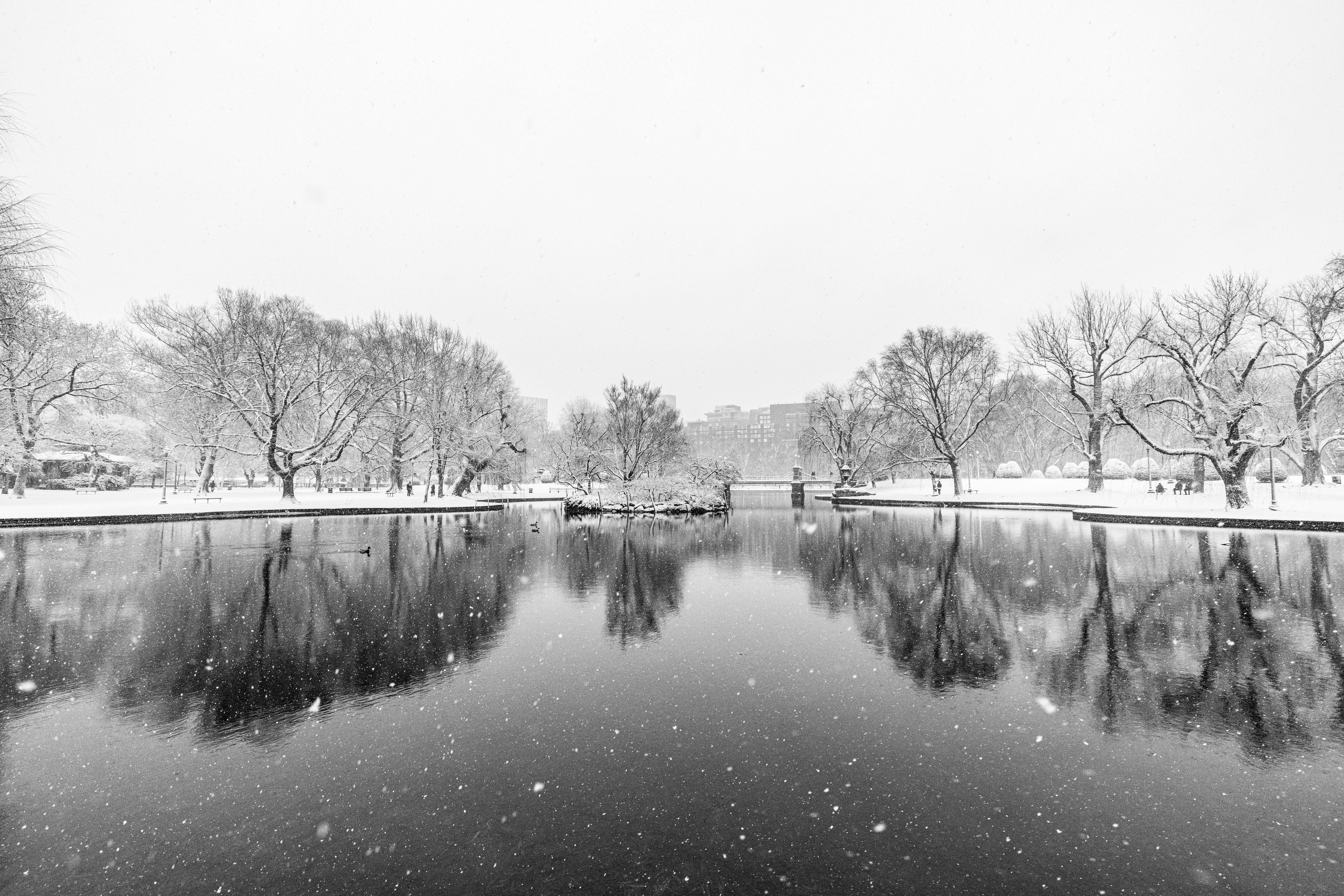 Lake-Effect Blast: Upstate New York Faces Fierce Flurries